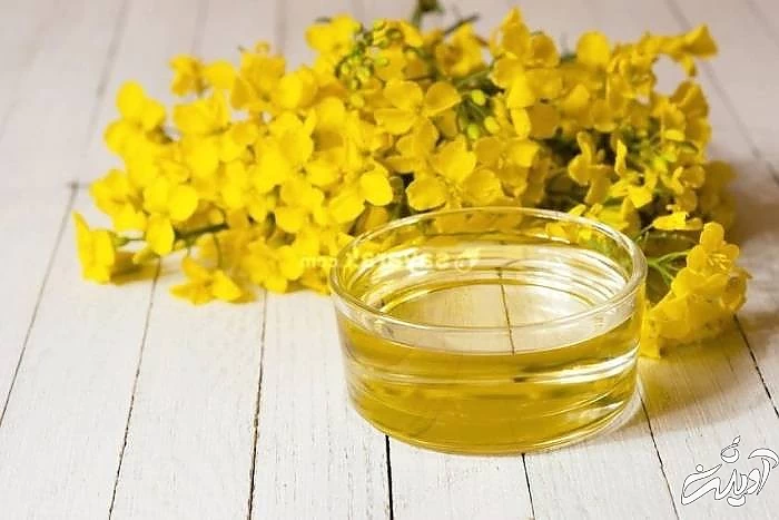 تاثیر روغن گل مغربی در هورمون زنان روغن گل مغربی